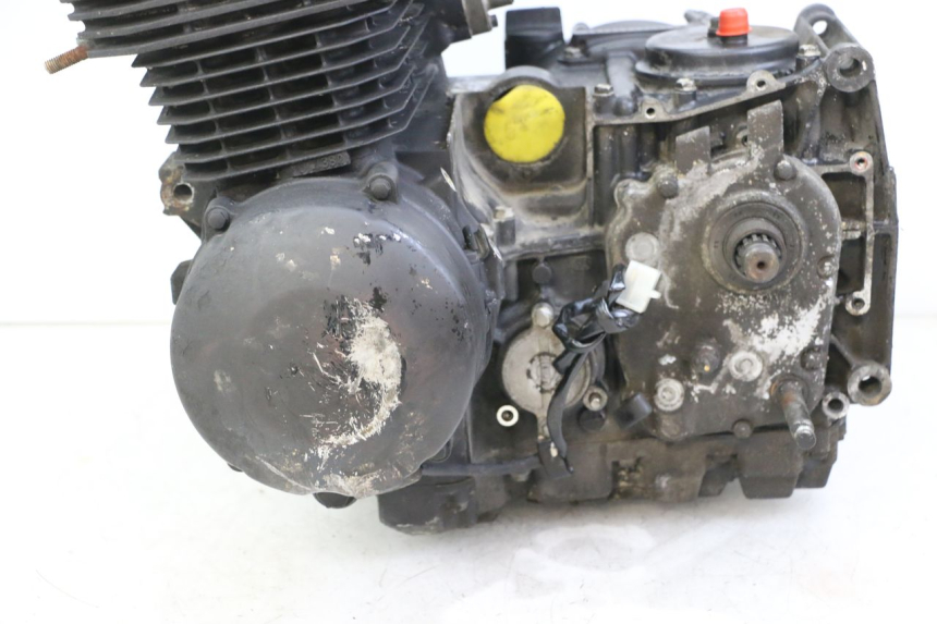 photo de MOTOR KAWASAKI ZR7 ZR-7 S 750 (1999 - 2004) - Primer plano técnico
