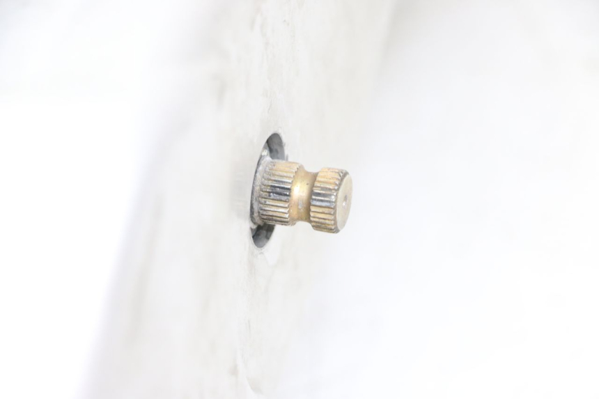 photo de MOTOR KYMCO PEOPLE S 125 (2000 - 2008) - Primer plano de alta resolución