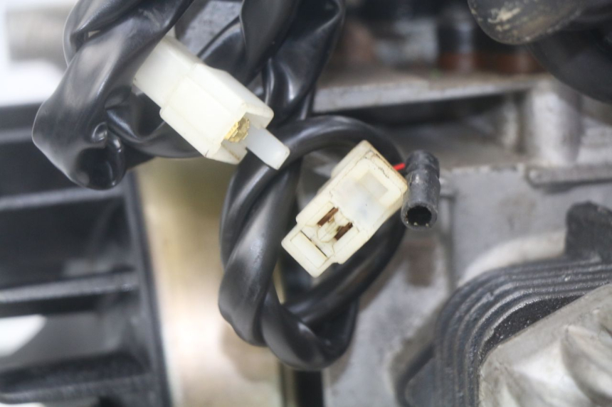 photo de MOTOR PEUGEOT LUDIX 50 (2005 - 2007) - Zoom calidad de ocasión