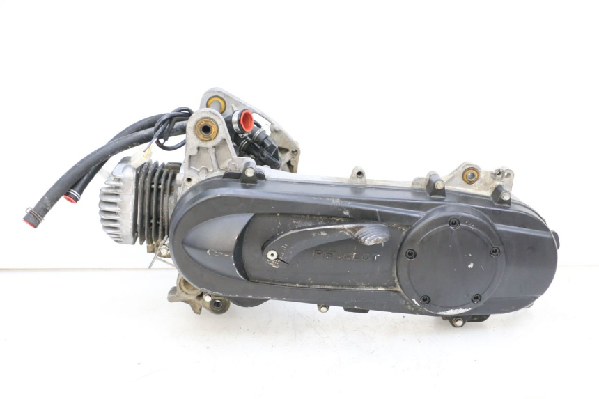 photo de MOTOR PEUGEOT LUDIX 50 (2005 - 2007) - Estado de la superficie y material