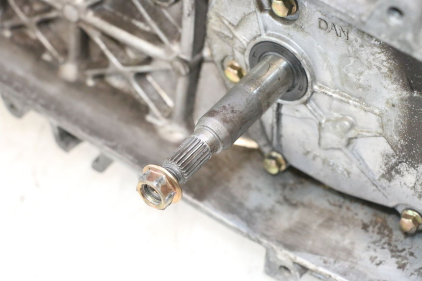 photo de MOTOR PEUGEOT LUDIX PRO 2T 50 (2010 - 2017) - Zoom sobre los componentes