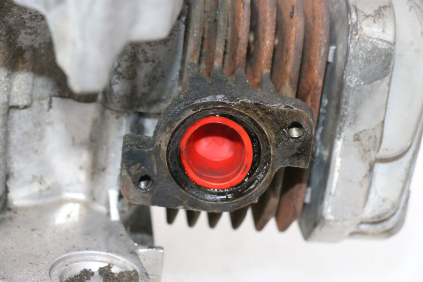 photo de MOTOR PEUGEOT LUDIX PRO 2T 50 (2010 - 2017) - Estado de la superficie y material