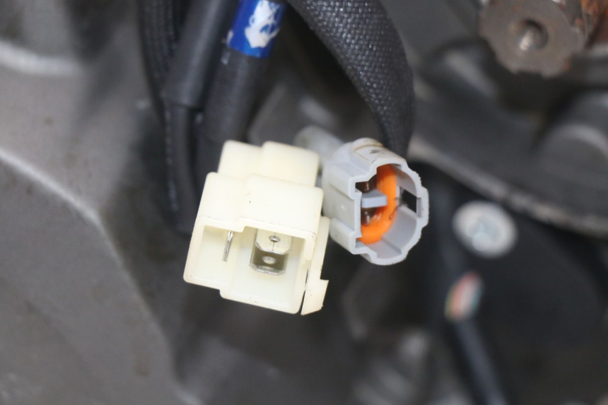 photo de MOTOR MASAI SCRAMBLER SPORT 125 (2021 - 2025) - Vista general del producto