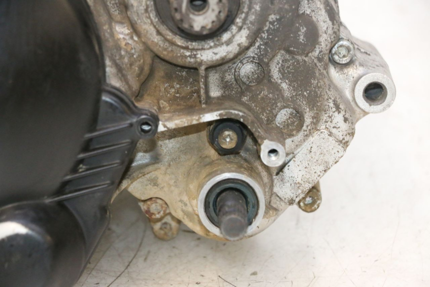photo de MOTOR RIEJU MRT PRO SUPERMOTARD 50 (2007 - 2018) - Primer plano técnico