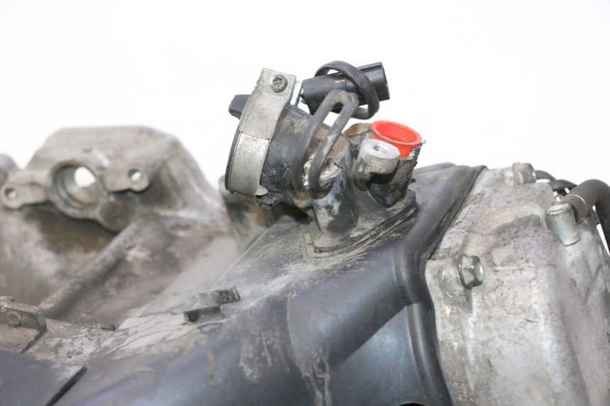 photo de MOTOR KYMCO LIKE 4T 50 (2019 - 2025) - Detalle de la pieza