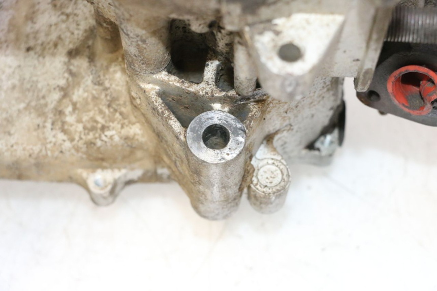 photo de MOTOR IMF INDUSTRIE NEW PACH 2T 50 (2014 - 2020) - Estado de la superficie y material