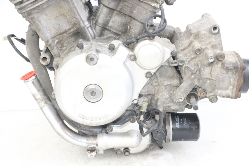 photo de MOTOR HONDA NTV DEAUVILLE 650 (1998 - 2001) - Primer plano de alta resolución