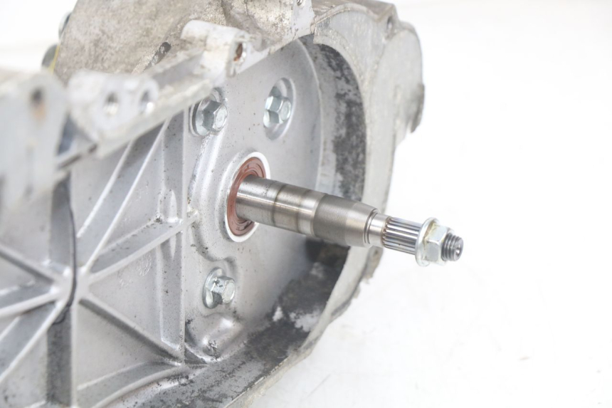 photo de MOTOR JM MOTORS OLDIES RS 4T 50 (2021 - 2024) - Zoom sobre los componentes