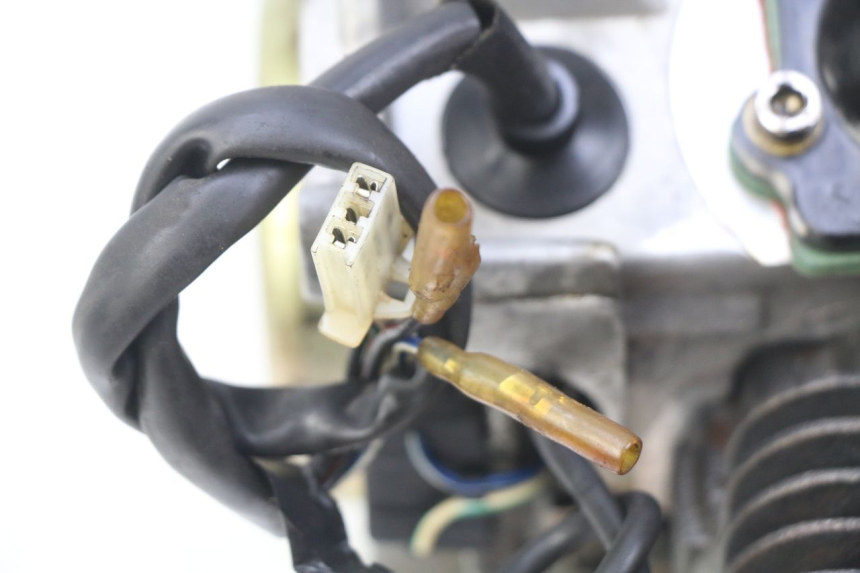 photo de MOTOR IMF INDUSTRIE PACH 2T 50 (2009 - 2018) - Primer plano de alta resolución