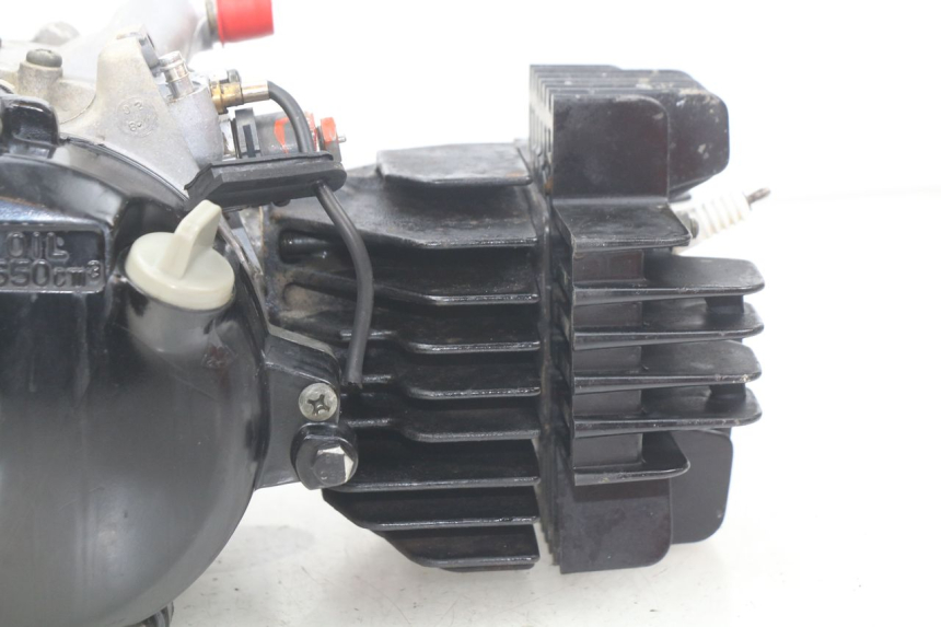 photo de MOTOR YAMAHA PW 80 (1983 - 2014) - Estado de la superficie y material