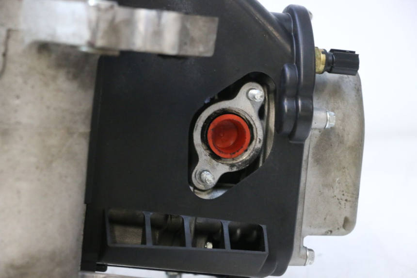 photo de MOTOR JM MOTORS R-MAX TECH 50 (2024 - 2026) - Otra perspectiva
