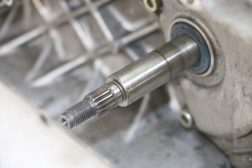 photo de MOTOR APRILIA RALLY AC 50 (1995 - 2004) - Marcados y referencias originales