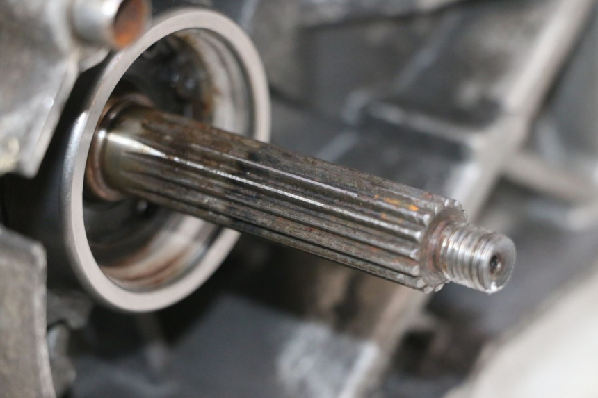 photo de MOTOR TNT MOTOR ROMA 10' 2T 50 (2011 - 2018) - Características distintivas