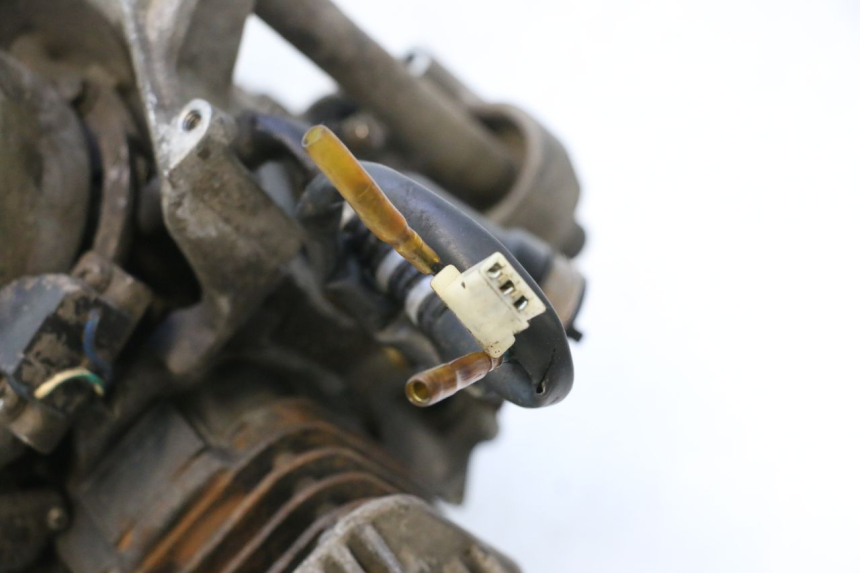 photo de MOTOR TNT MOTOR ROMA 10' 2T 50 (2011 - 2018) - Primer plano técnico
