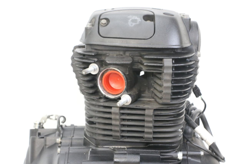 photo de MOTOR ROYAL ENFIELD HYMALAYAN 410 (2016 - 2023) - Características distintivas