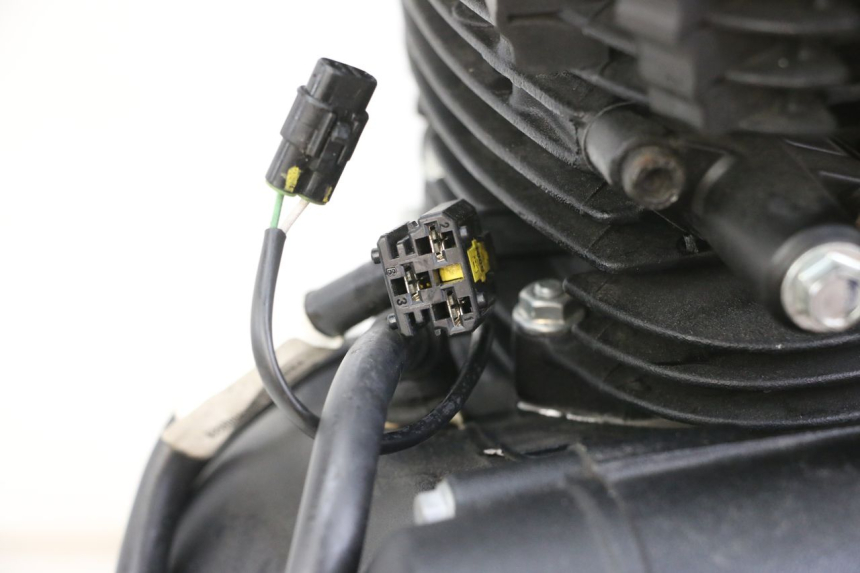 photo de MOTOR ROYAL ENFIELD HYMALAYAN 410 (2016 - 2023) - Estado de la superficie y material