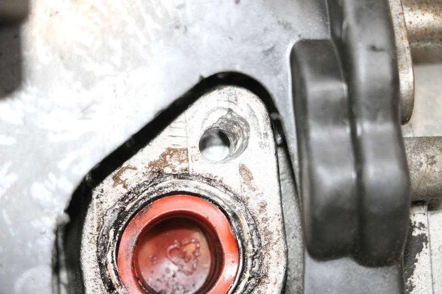 photo de MOTOR JM MOTORS SANTANA 50 (2014 - 2023) - Zoom estado de uso