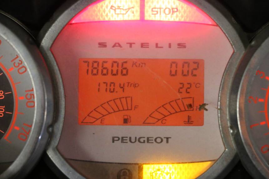 photo de MOTOR PEUGEOT SATELIS 250 (2006 - 2012) - Zoom estado de uso