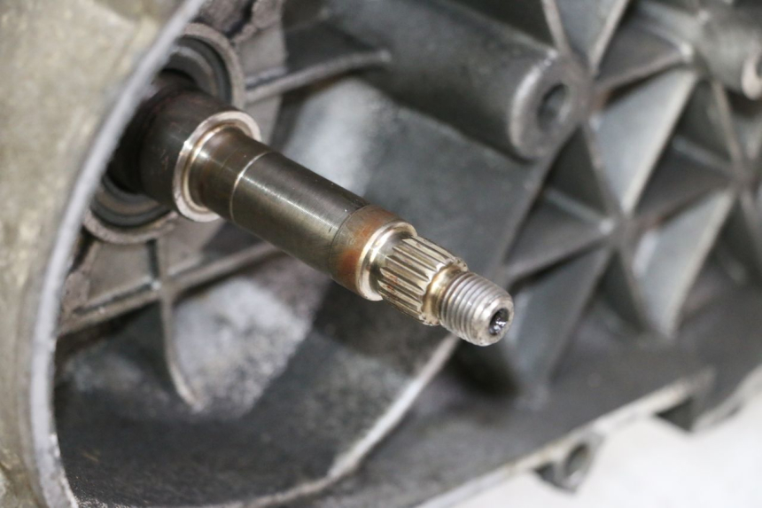 photo de MOTOR PEUGEOT SATELIS 125 (2006 - 2009) - Zoom calidad de ocasión