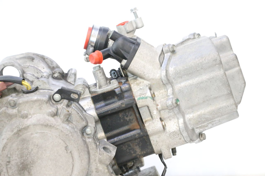 photo de MOTOR PEUGEOT SATELIS 125 (2013 - 2018) - Zoom sobre los componentes