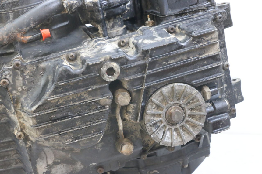 photo de MOTOR TRIUMPH SPEED TRIPLE T301 900 (1994 - 1996) - Vista general del producto