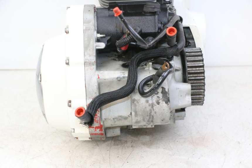 photo de MOTOR HARLEY DAVIDSON SPORTSTER XL CUSTOM 883 (1999 - 2006) - Foto de producto adicional