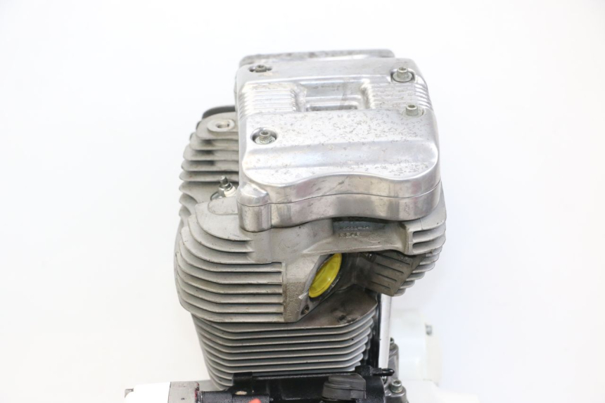 photo de MOTOR HARLEY DAVIDSON SPORTSTER XL CUSTOM 883 (1999 - 2006) - Enfoque en la estructura