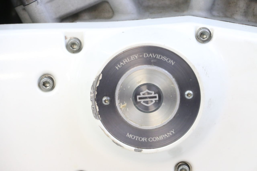 photo de MOTOR HARLEY DAVIDSON SPORTSTER XL CUSTOM 883 (1999 - 2006) - Detalles de los puntos de fijación