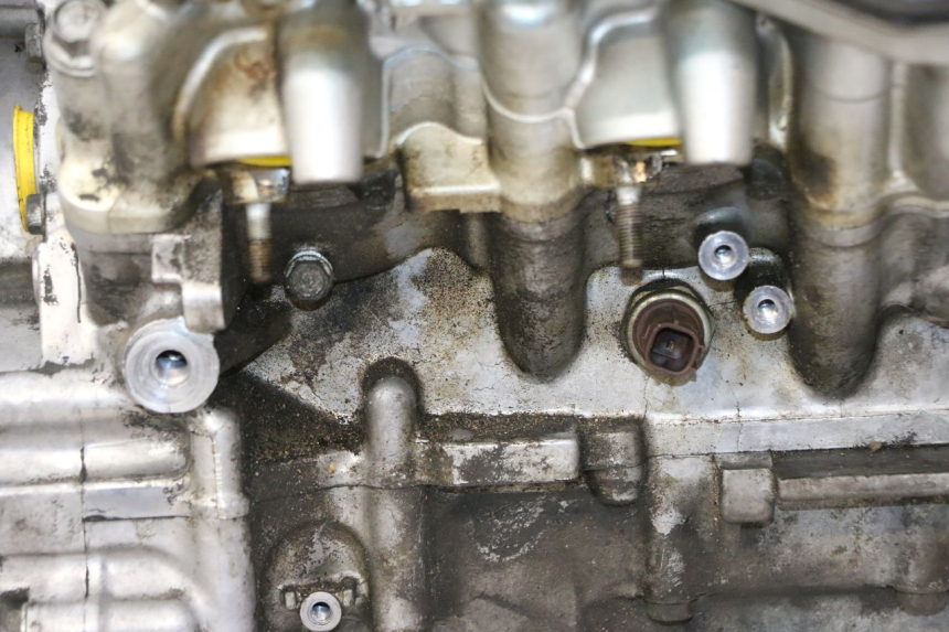 photo de MOTOR HONDA ST PAN EUROPEAN 1300 (2002 - 2013) - Primer plano de alta resolución