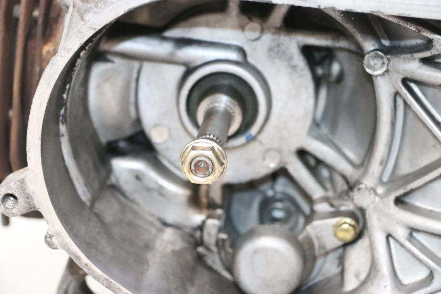 photo de MOTOR PEUGEOT STREETZONE NAKED 2T 50 (2014 - 2018) - Primer plano técnico