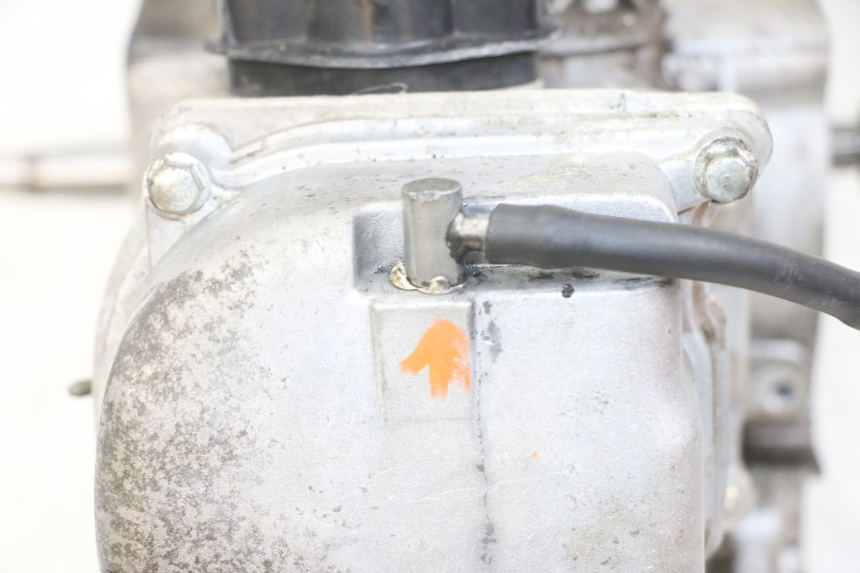 photo de MOTOR JM MOTORS SUNNY 50 (2017 - 2020) - Características distintivas