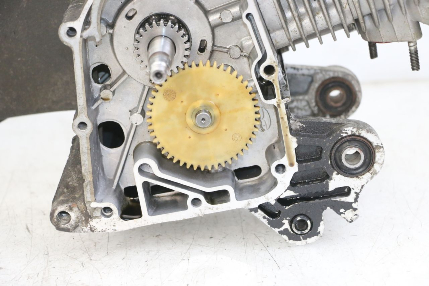 photo de MOTOR JM MOTORS SUNNY 50 (2017 - 2020) - Estado de la superficie y material