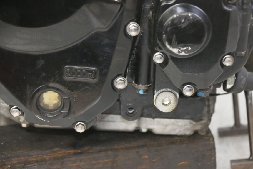 photo de MOTOR SUZUKI GSX F GSXF 650 (2007 - 2015) - Detalle de la pieza