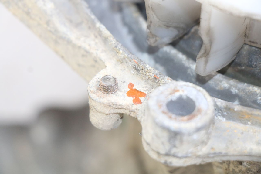 photo de MOTOR PEUGEOT TREKKER 50 (1998 - 2004) - Primer plano técnico