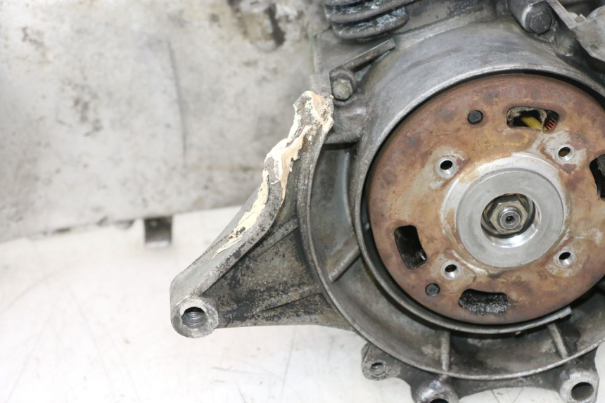 photo de MOTOR PEUGEOT TREKKER 50 (1995 - 2004) - Características distintivas