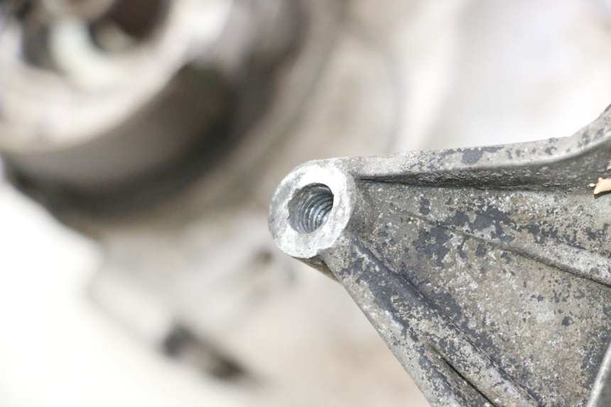 photo de MOTOR PEUGEOT TREKKER 50 (1995 - 2004) - Primer plano técnico