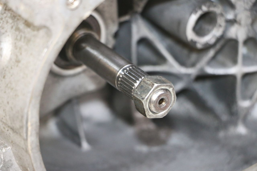 photo de MOTOR PEUGEOT TWEET 4T 50 (2014 - 2019) - Zoom calidad de ocasión