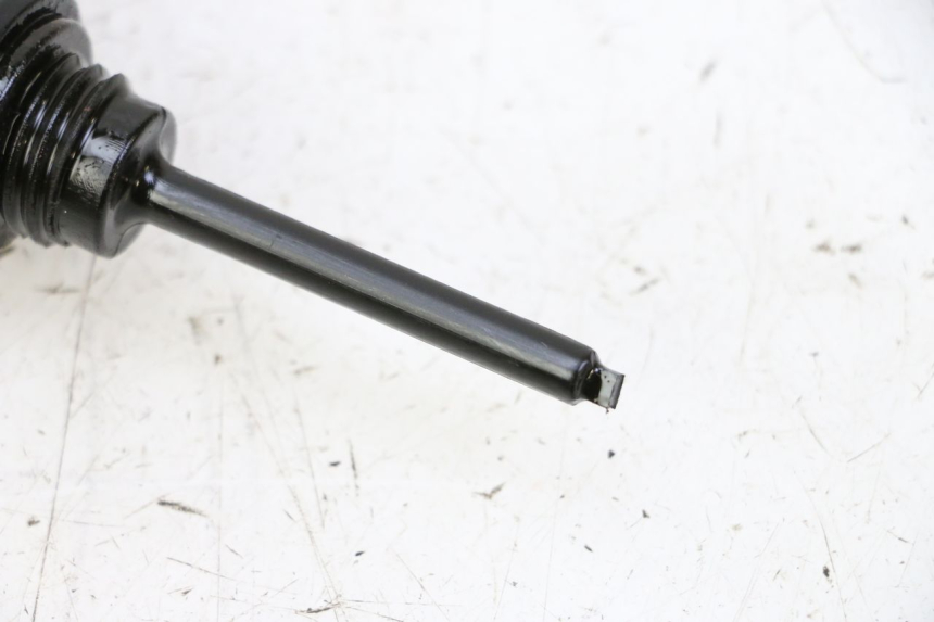 photo de MOTOR PEUGEOT TWEET PRO CARGO 50 (2018 - 2022) - Detalle de la pieza