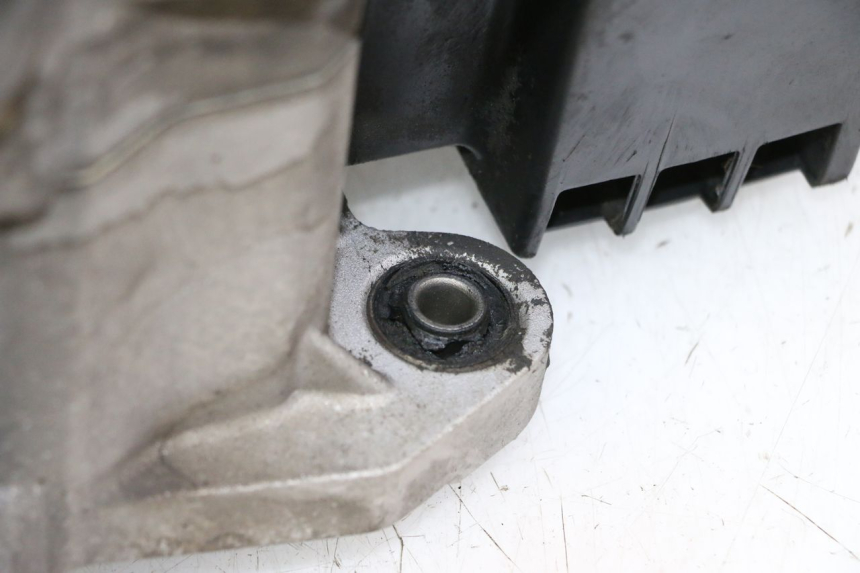 photo de MOTOR PEUGEOT TWEET PRO CARGO 50 (2018 - 2022) - Primer plano de alta resolución