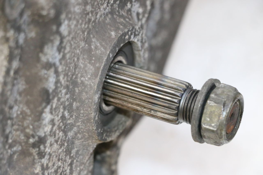 photo de MOTOR PEUGEOT TWEET PRO CARGO 50 (2018 - 2022) - Detalle de la pieza