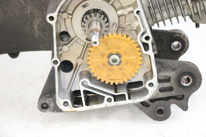 photo de Motor BEELINE VELOCE 4T 50 (2011 - 2020) - Estado de la superficie y material