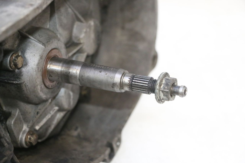 photo de MOTOR PIAGGIO VESPA LX 2T 50 (2005 - 2013) - Zoom sobre los componentes