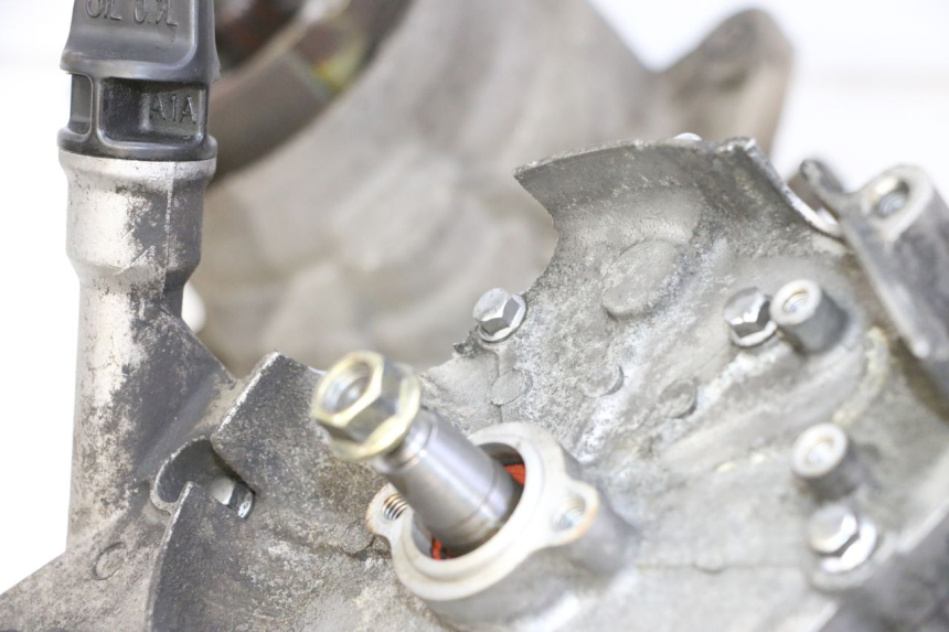 photo de MOTOR PEUGEOT VIVACITY NEW 4T 50 (2008 - 2017) - Zoom estado de uso