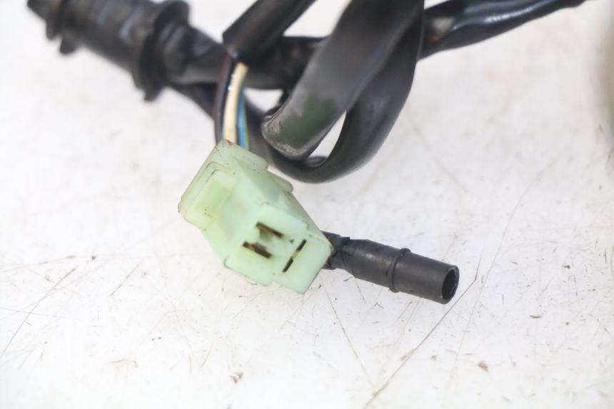 photo de MOTOR PEUGEOT VIVACITY 50 (1998 - 2003) - Zoom sobre los componentes