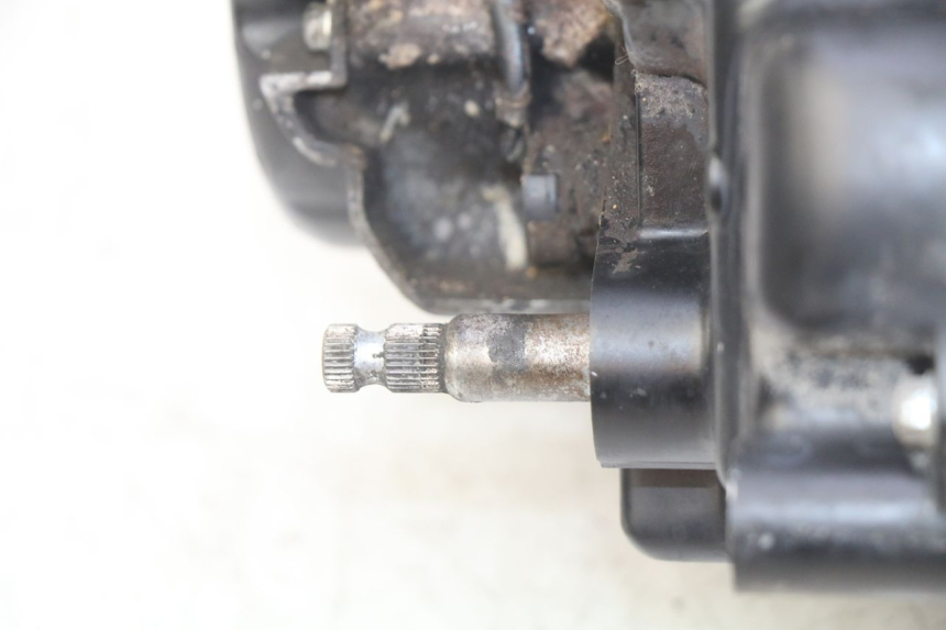 photo de MOTOR DAELIM VL DAYSTAR 125 (2000 - 2011) - Otra vista del artículo