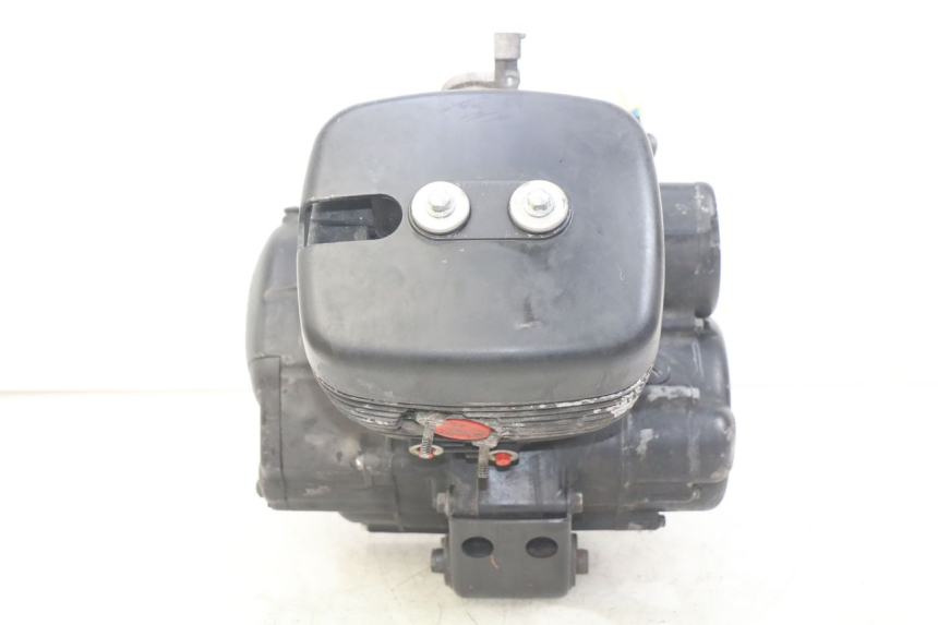 photo de MOTOR DAELIM VL DAYSTAR 125 (2000 - 2011) - Primer plano técnico