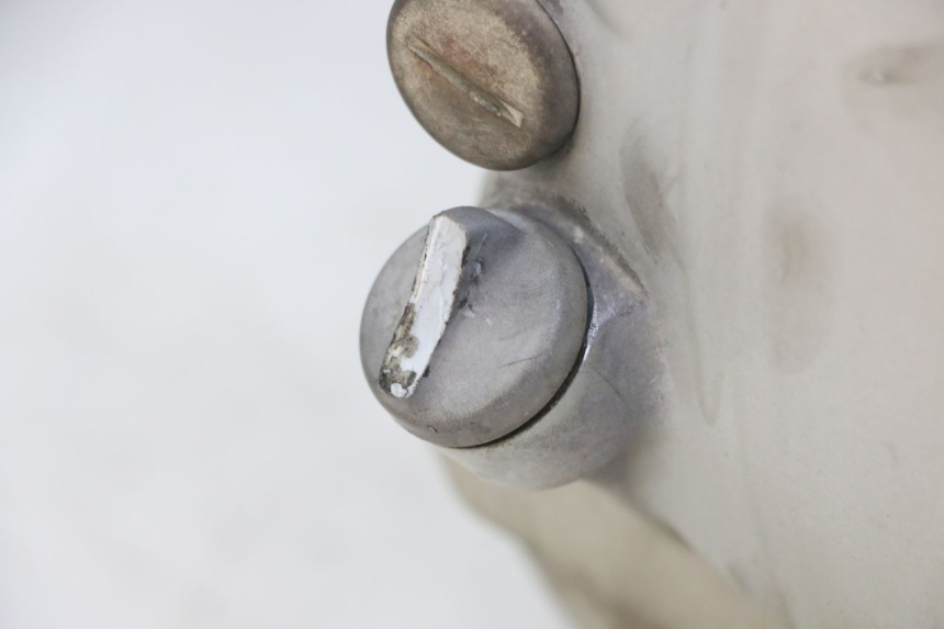 photo de MOTOR YAMAHA X-MAX XMAX ABS 250 (2010 - 2014) - Detalle de la pieza