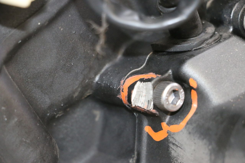 photo de MOTOR YAMAHA XJ6 ABS 600 (2008 - 2016) - Primer plano técnico