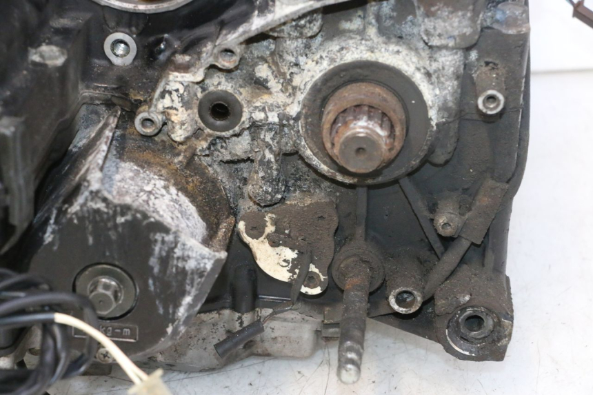 photo de MOTOR YAMAHA XJR 1300 (1998 - 2002) - Zoom sobre los componentes