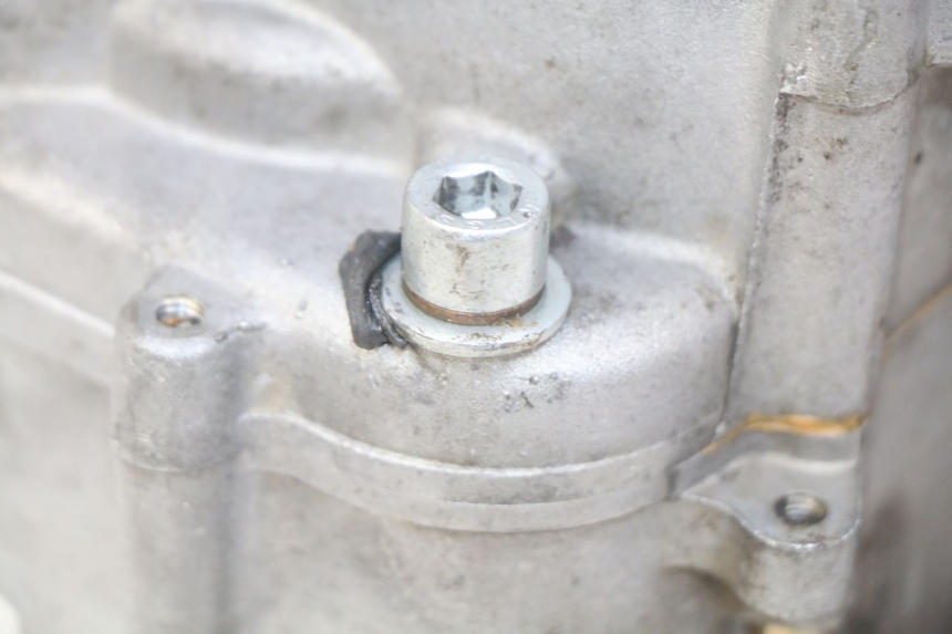 photo de MOTOR PEUGEOT XP6 50 (1997 - 2003) - Primer plano técnico
